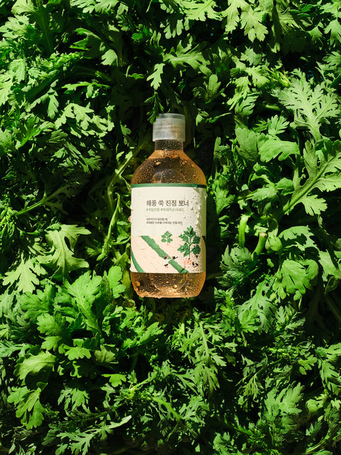 Mugwort Calming Toner 300ml